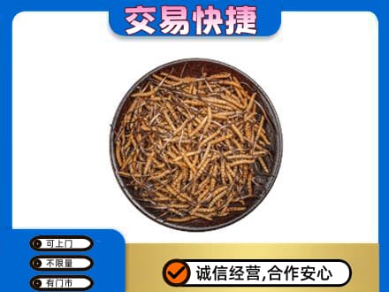 齐齐哈尔依安礼品回收虫草.jpg